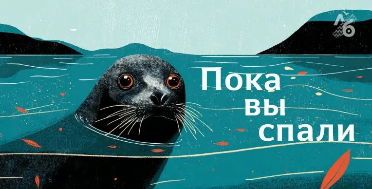 Короткая подборка новостей — от условно‑досрочного освобождения осуждённого в Башкортостане до запретов на импорт и восстановления интернета в Иране.