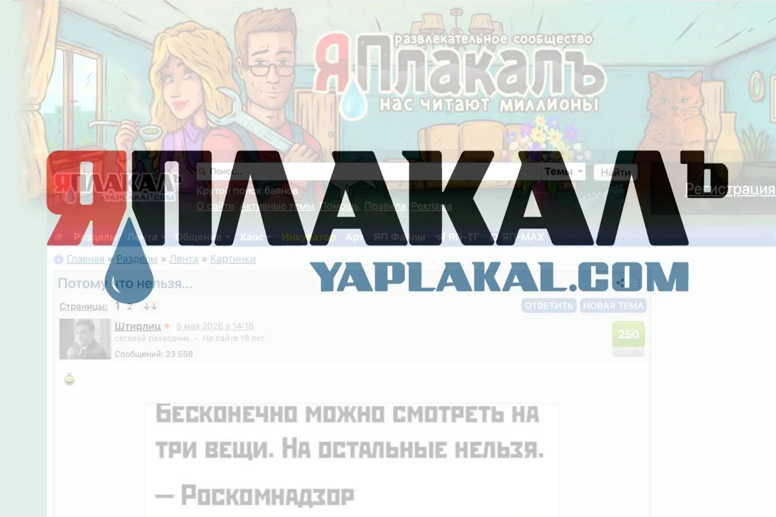Чертановский районный суд Москвы признал портал «ЯПлакалъ» запрещённым в России по ходатайству районной прокуратуры: суд согласился, что на ресурсах размещены материалы, унижающие достоинство и содержащие признаки дискриминации.