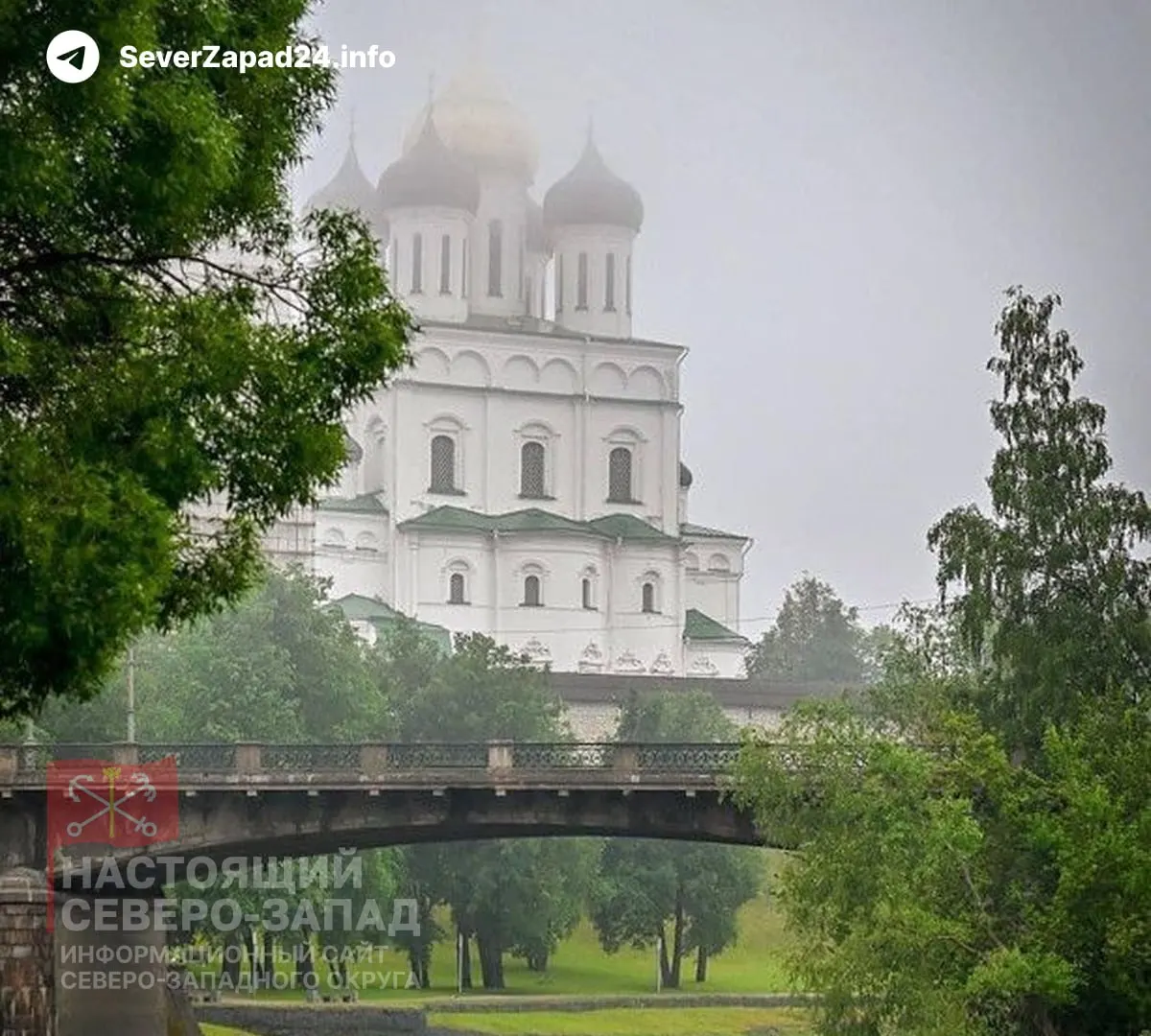 Короткая сводка главных новостей: приложение для поиска топлива, разрешение на заправку канистр в Псковской области, создание ведомства безопасности в Ленобласти и экономические проблемы в Коми.