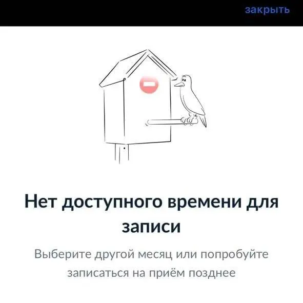 Жители столицы жалуются, что на портале отсутствуют свободные слоты для подачи документов на загранпаспорта. В других регионах подобных проблем не наблюдается; москвичи направляют официальные жалобы. Ситуация совпадает с обсуждениями возможного ужесточения правил выезда из страны.