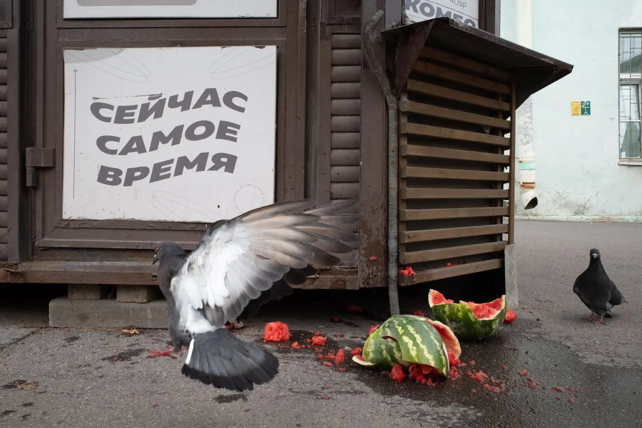 В Петербурге и Ленобласти зафиксированы штрафы и судебные решения по делу антивоенного священника, поданы новые иски о регистрации на выборы, прошли памятные службы и обсудили перестановки в Минобороны.