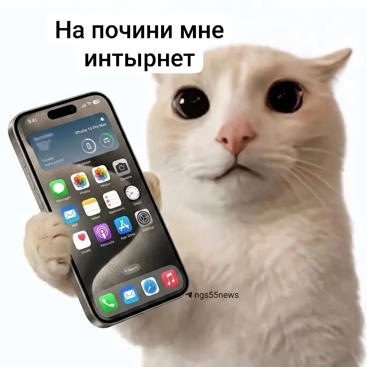 Из-за масштабной кибератаки недоступны сайт провайдера, личный кабинет и оплата услуг; возможны перебои в телефонии и загрузке контента.