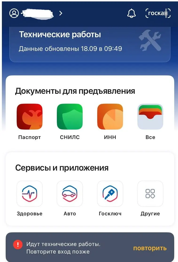 Из-за технических работ при входе в Госуслуги пользователи видят сообщение о повторной попытке входа, что вызывает задержки и очереди.