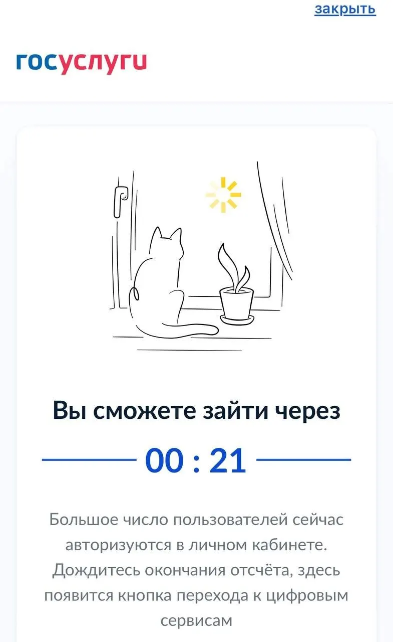 Сервисы госуслуг периодически зависают во время голосования; пользователи вынуждены повторно заходить в систему. По данным региональных источников, за первые два часа проголосовали около 35% избирателей.