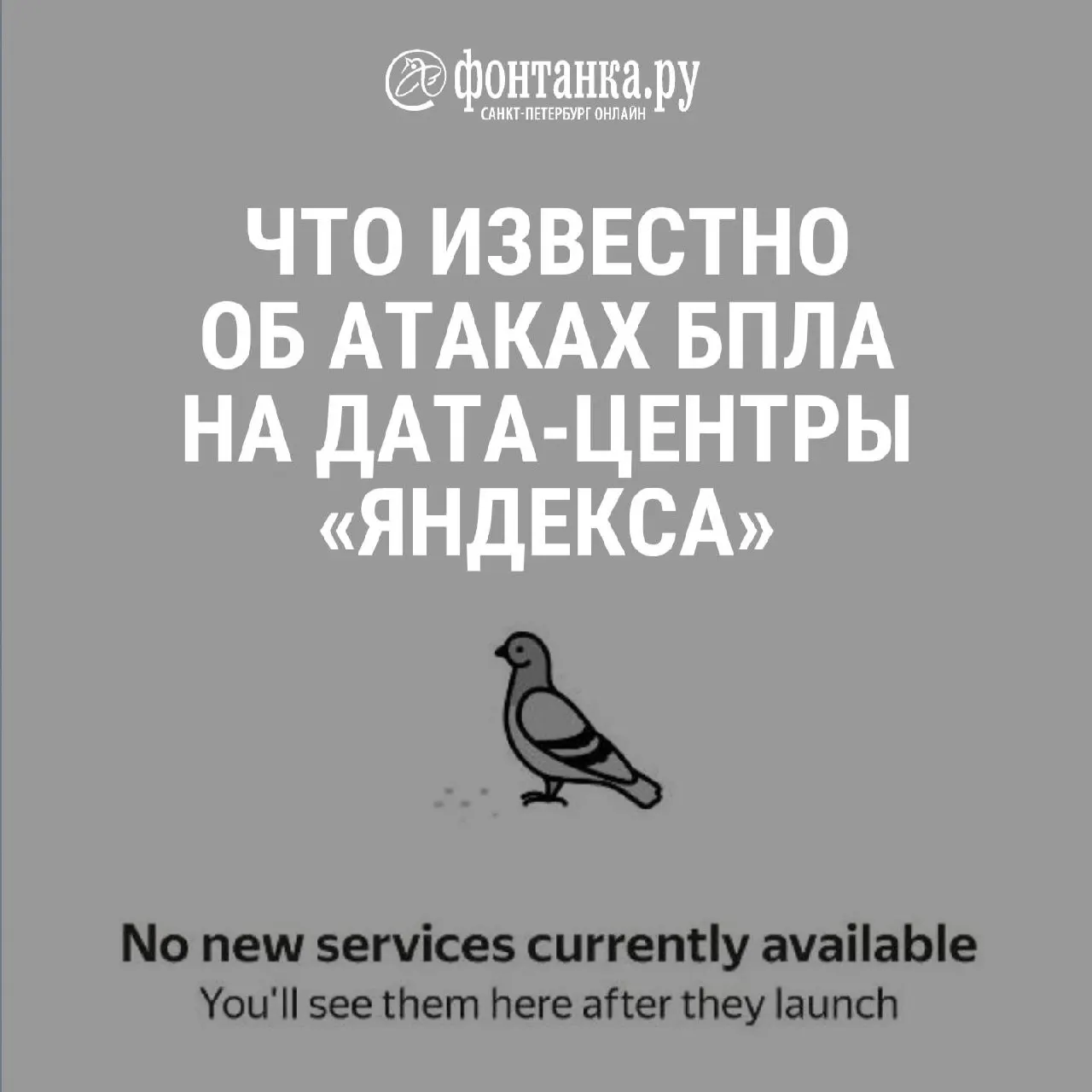 Пользователи жалуются на блокировку средств и отсутствие официальной информации, пока другие сервисы работают.